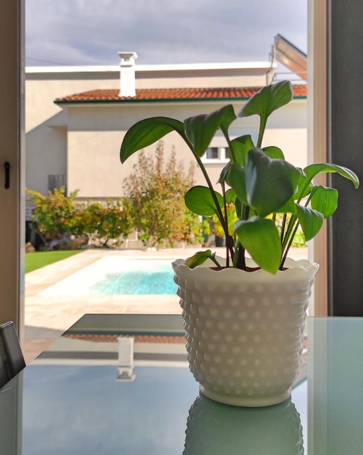 Villa D'Uvale Douro Alijó Extérieur photo